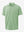 3D rendering of light green cotton blend plain shirt.