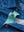 Youth Print Stretch Lightweight Polo Shirts