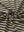 Close-up of black khaki yarn dyed stripe polo fabric showing distinct woven stripes and textured surface.