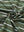 Fabric detail of kids stylish stripe polo shirts, soft striped weave with olive green stripeaccent